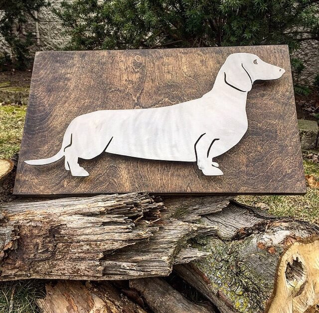 Dachshund Wall Art